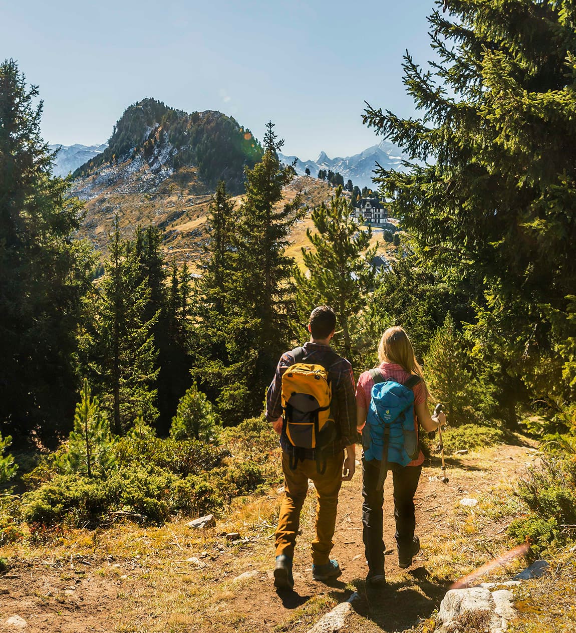 Foraging Alta Montagna (corso di 2 giorni con pernottamento incluso)